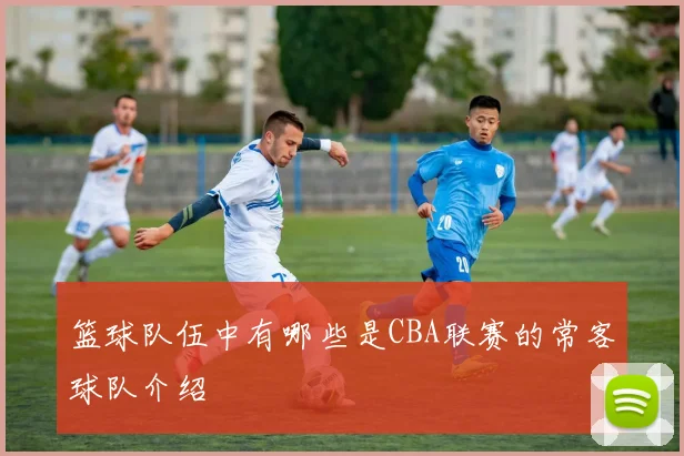 篮球队伍中有哪些是CBA联赛的常客球队介绍