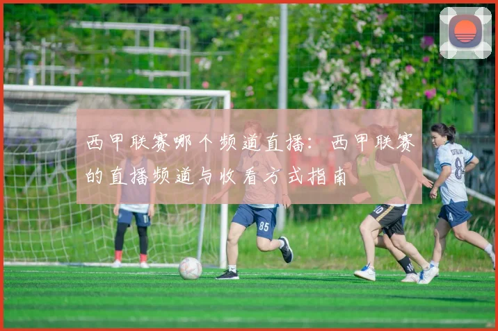 西甲联赛哪个频道直播：西甲联赛的直播频道与收看方式指南